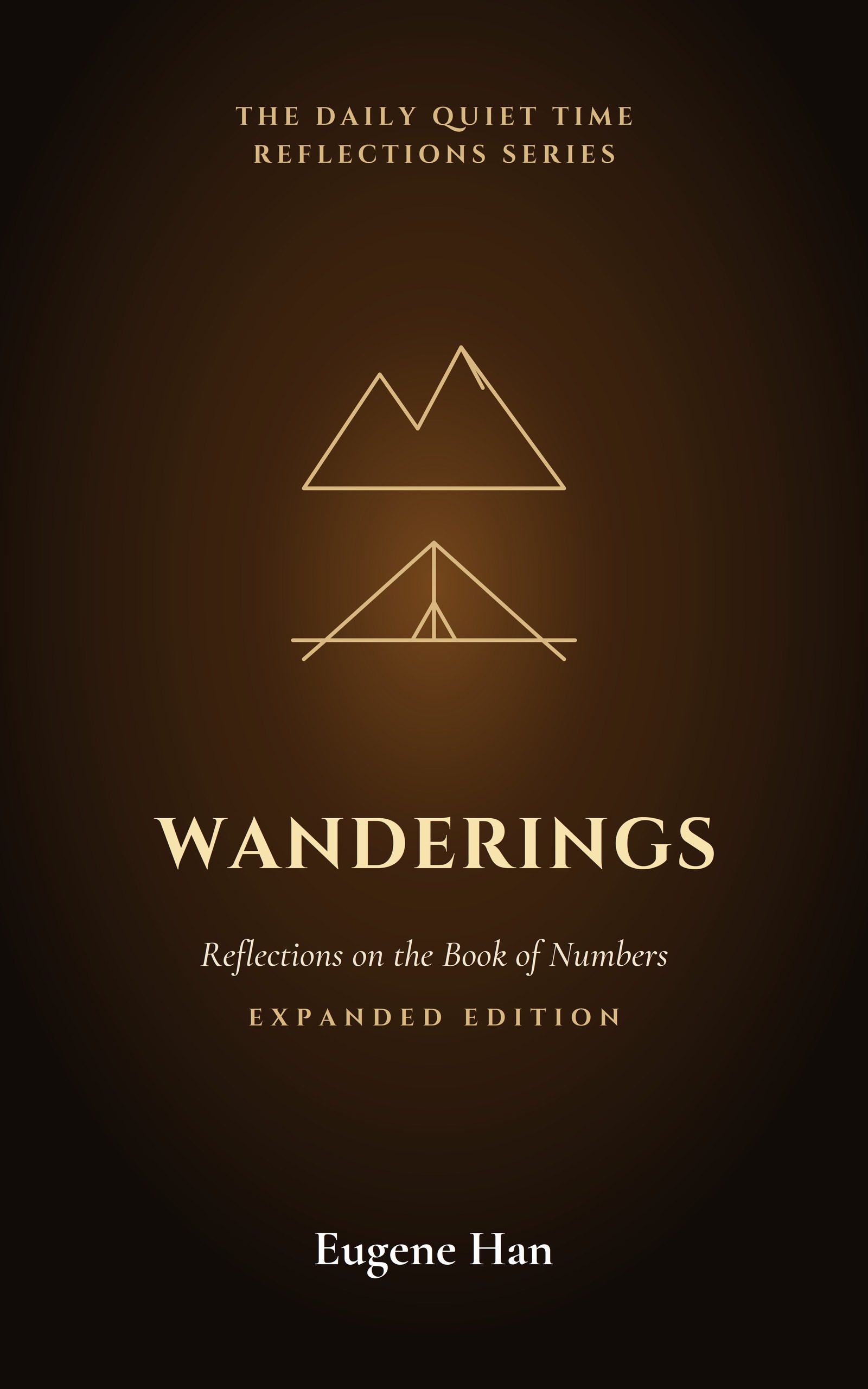 Wanderings cover